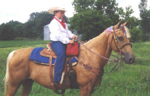 coltttandhoneyparade.jpg