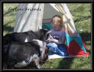 foreverfriends.jpg