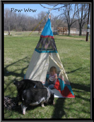powwow.jpg