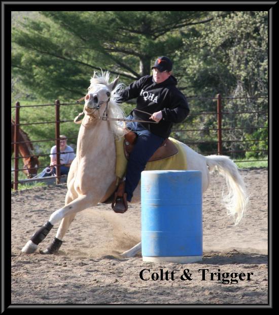 coltt1.jpg